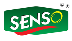 Senso Logo